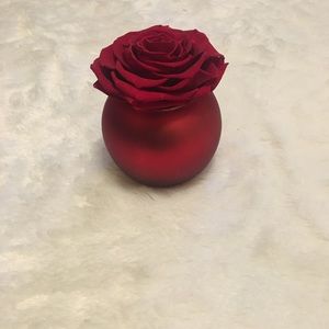 Single Red Preserved Rose